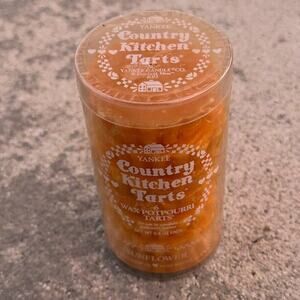 Vintage Yankee Candle Country Kitchen Wax Sunflower RARE 6-Pack Tart Melts